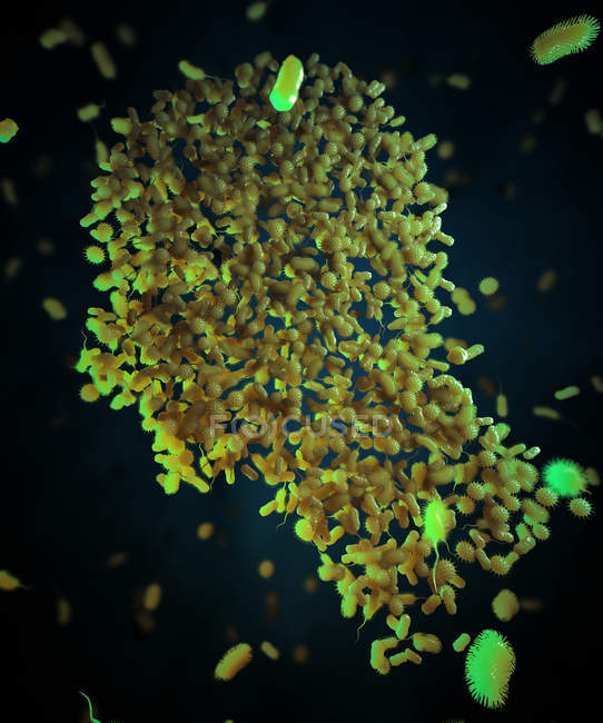 Bacterias que forman una cabeza humana - foto de stock