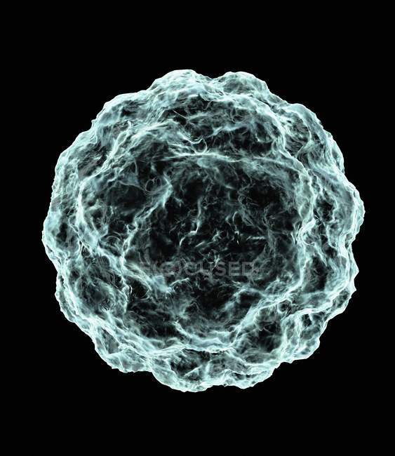 Structure du blastocyste, illustration conceptuelle de l'ordinateur
. — Photo de stock