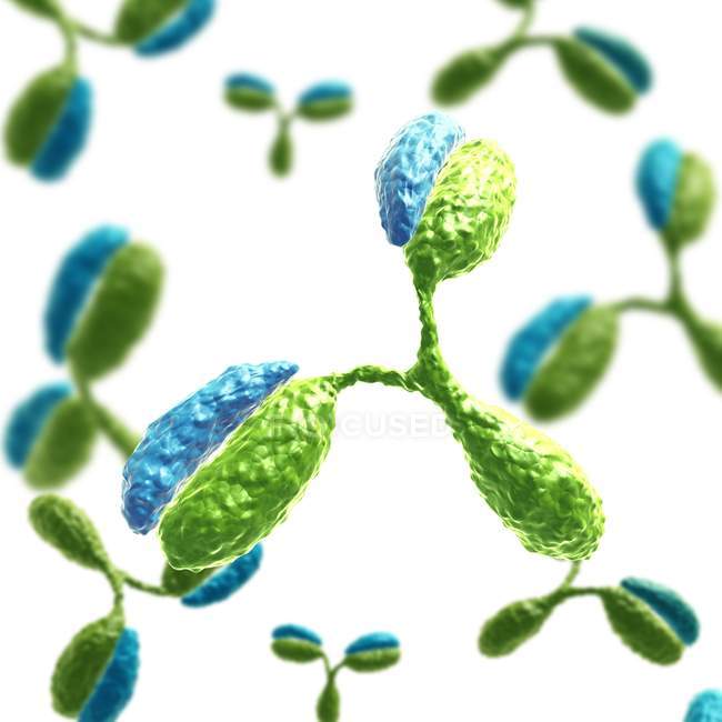 Moléculas de anticorpos 1IGT — Fotografia de Stock
