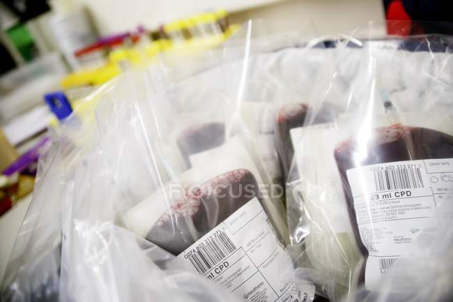 Bolsas de sangre donada en laboratorio . - foto de stock