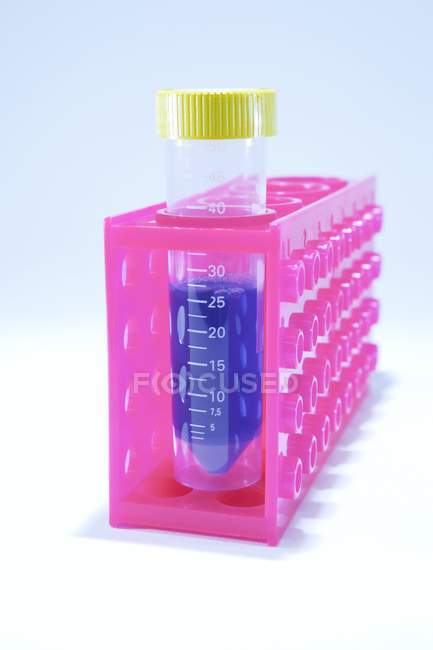 Tubo de amostra com líquido azul em rack rosa . — Fotografia de Stock