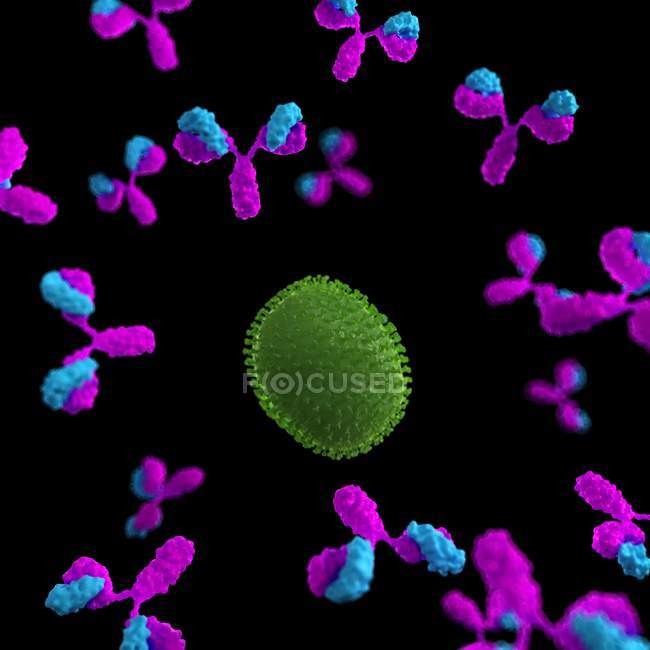 Vírus a ser atacado por anticorpos — Fotografia de Stock
