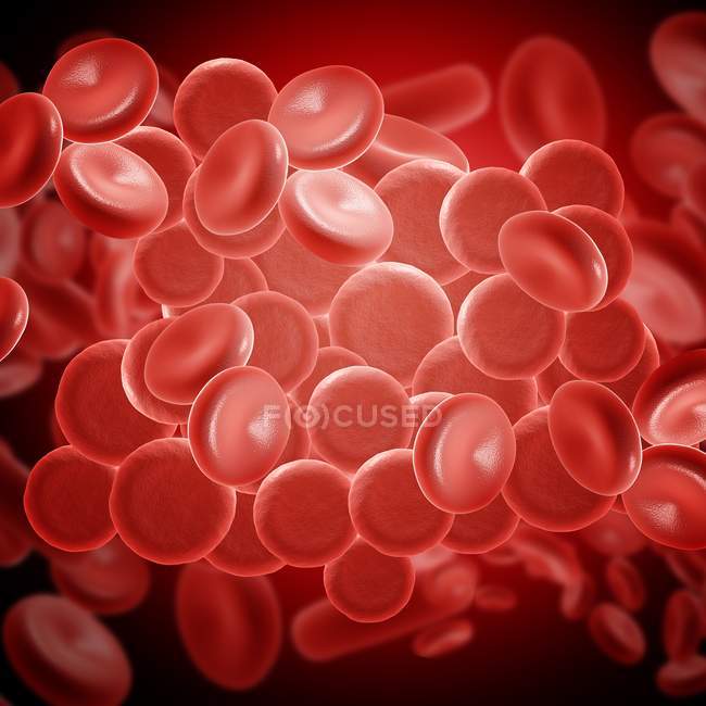 Glóbulos rojos en la corriente sanguínea - foto de stock