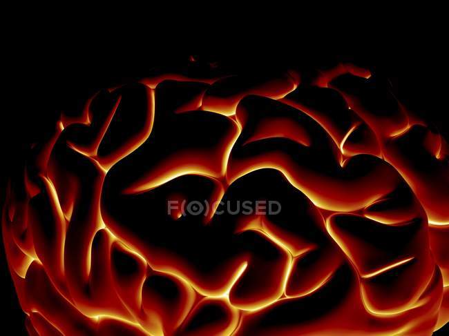 Estrutura cerebral humana — Fotografia de Stock