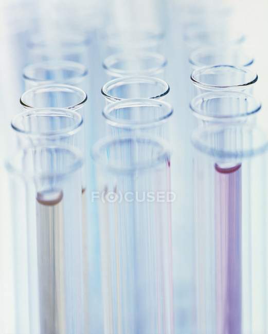 Grupo de tubos de ensaio de laboratório com líquidos coloridos
. — Fotografia de Stock