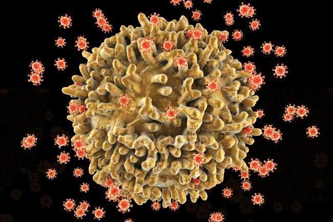 HIV viruses infecting T-lymphocyte cell — Stock Photo