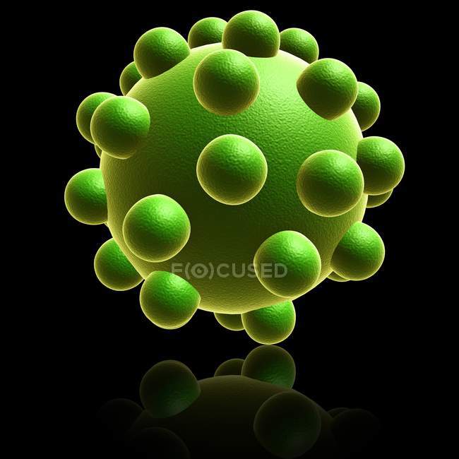 Virus de la varicela - foto de stock
