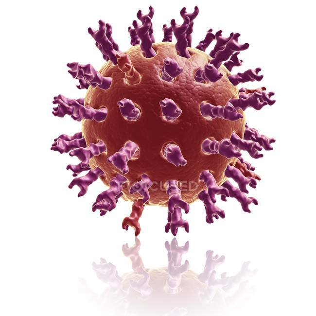 Rendering visivo di Rotavirus — Foto stock