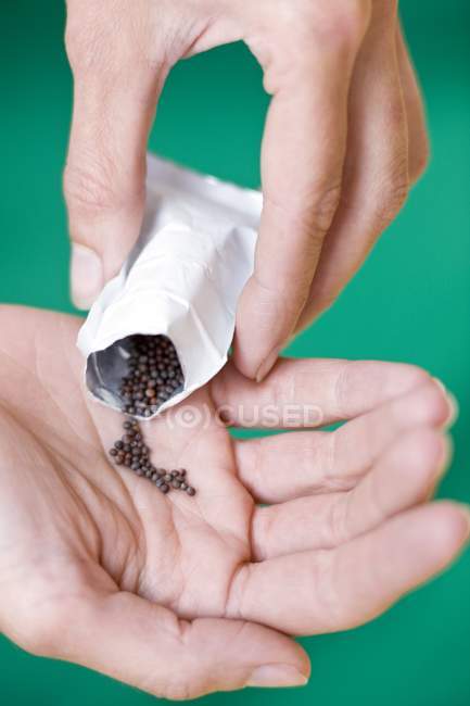 Close-up of gardener pouring plant seeds on palm. — Stock Photo