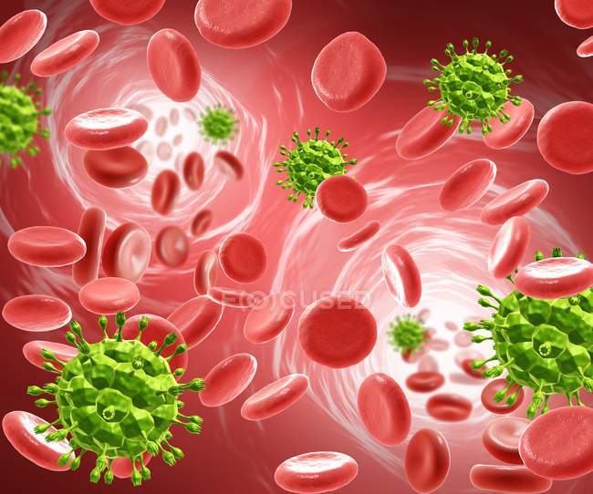 Ilustración de partículas de VIH en la sangre
. - foto de stock