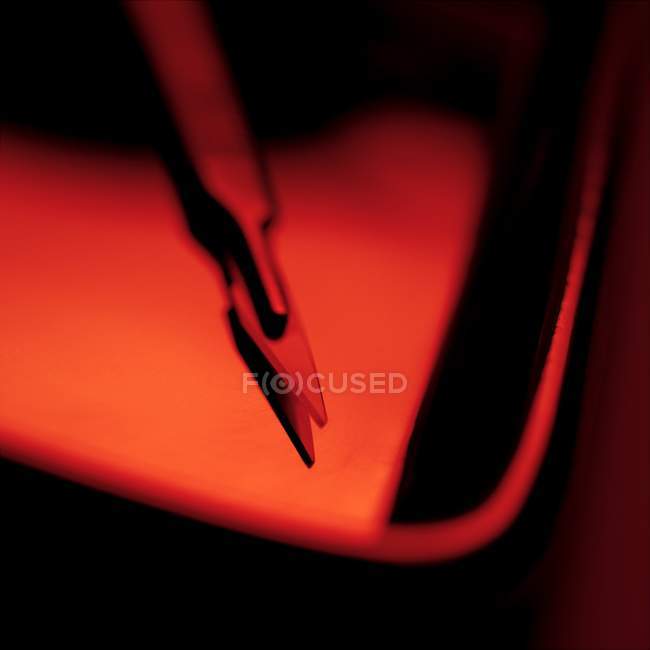Close-up of surgical scalpel on tray. — Stock Photo