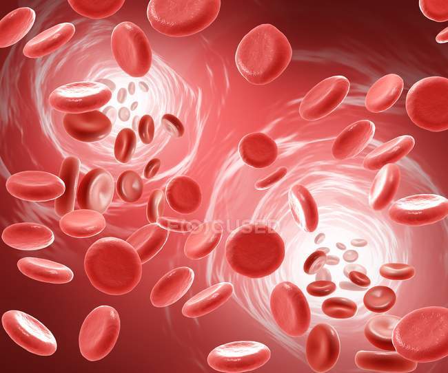 Globules rouges dans la circulation sanguine — Photo de stock