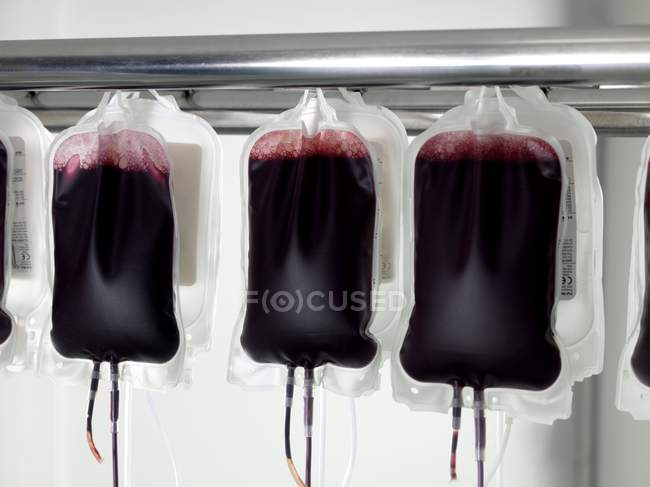 Донорская кровь в пакетах крови, крупным планом . — стоковое фото