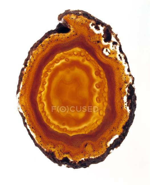 Cut cross section of mineral agate. — Stock Photo