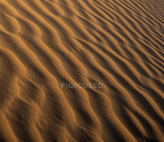 Ondulations dans la dune de sable du désert aux Émirats arabes unis . — Photo de stock