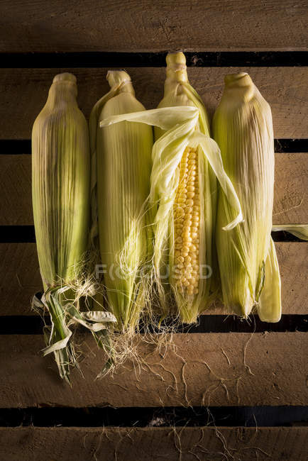 Mazorcas de maíz fresco en tablas de madera, bodegón . - foto de stock