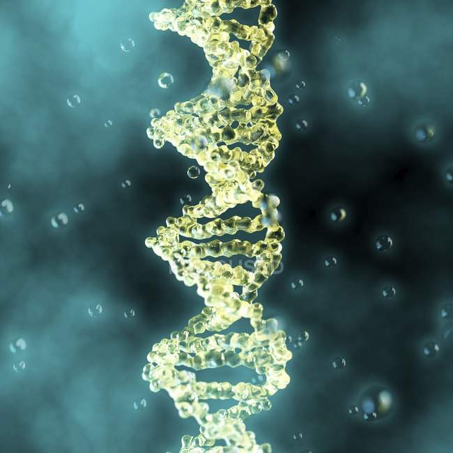Структури молекули ДНК — стокове фото
