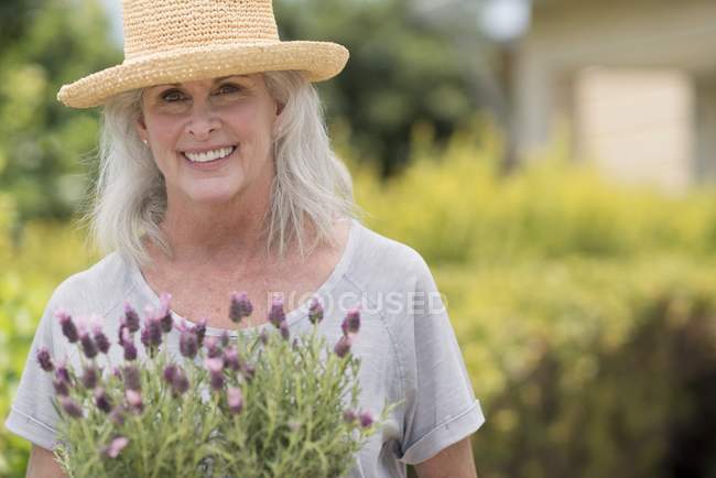 Старшая женщина держит лавандовые растения и улыбается . — стоковое фото