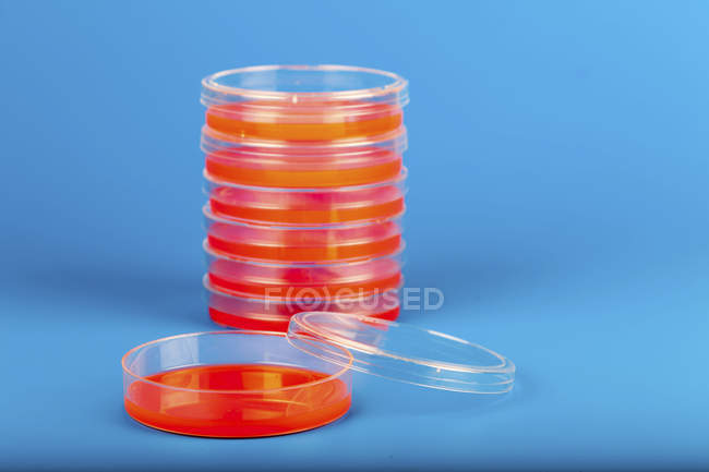 Petri dishes stacked on blue background. — Stock Photo