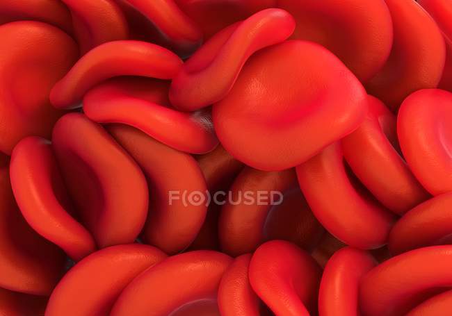 Glóbulos vermelhos saudáveis — Fotografia de Stock