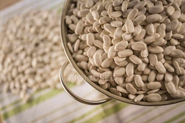Tarbais beans in colander, still life. — Stock Photo