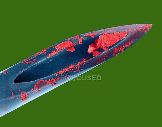 Hypodermic needle (26 gauge) and human blood, coloured scanning electron micrograph (SEM). — Stock Photo