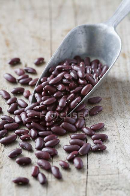Red Kidney beans — Stock Photo