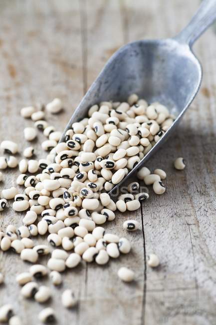 Black-eyed beans in metal scoop — Stock Photo