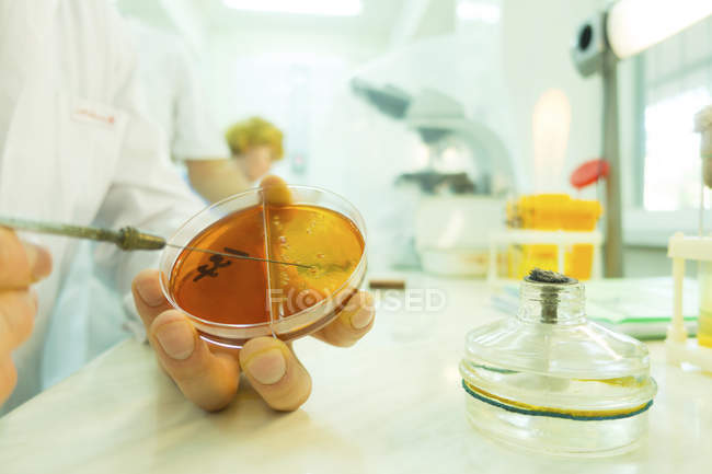 Ученый держит чашку Петри и шприц . — стоковое фото