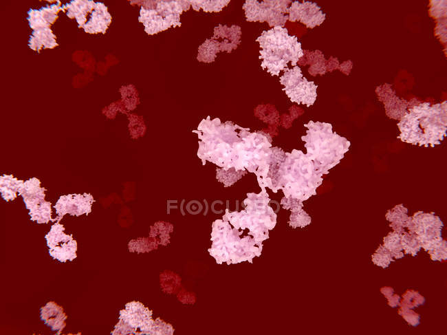 Particules circulantes d'anticorps — Photo de stock