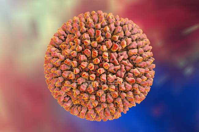 Reovirus-Viruspartikel — Stockfoto