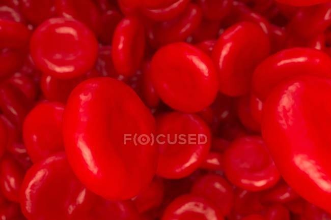 Glóbulos rojos en el torrente sanguíneo - foto de stock