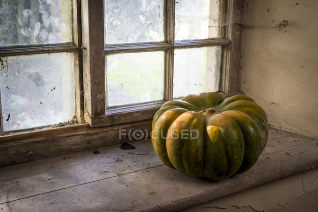 Muscat pumpkin on window sill. — Stock Photo