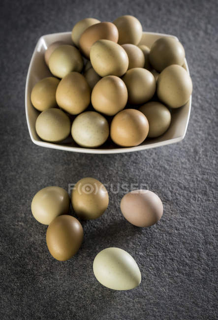 Vista ravvicinata delle uova di fagiano, natura morta . — Foto stock