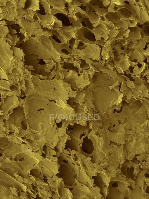 Micrografía electrónica de barrido de color (SEM) de la superficie del pan blanco . - foto de stock