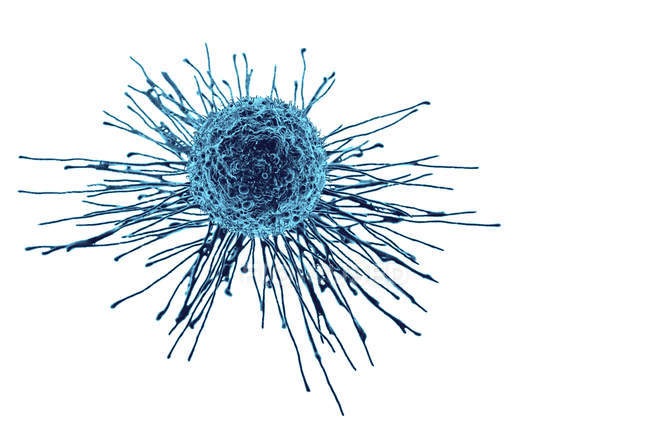 Estrutura e forma das células cancerígenas — Fotografia de Stock