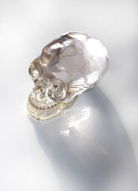 Скляний череп на білому тлі, крупним планом . — стокове фото