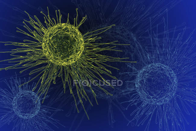 Morfologia das células cancerígenas — Fotografia de Stock