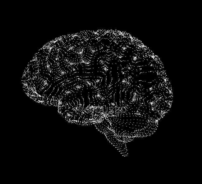 Rendu visuel du cerveau humain — Photo de stock