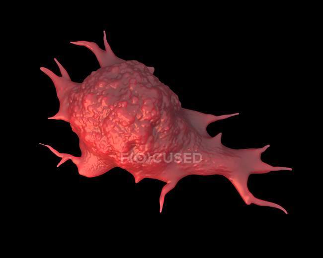 Célula de cáncer pulmonar - foto de stock