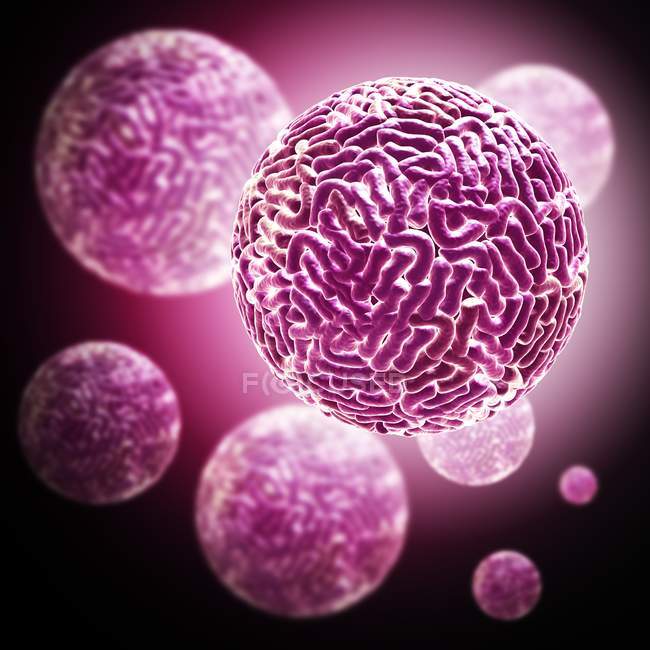 Particules du virus Sindbis — Photo de stock