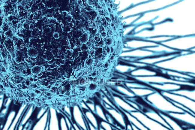 Anatomia das células cancerígenas — Fotografia de Stock