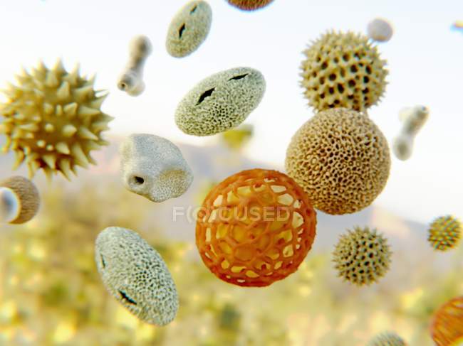 Visualización visual del polen - foto de stock