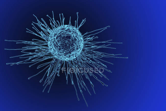 Cancer cell anatomy — Stock Photo
