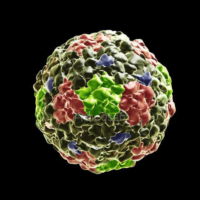 Частицы коронавируса — стоковое фото