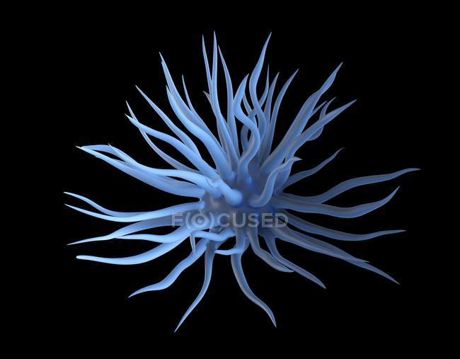 Trichome outgrowth on black background, illustration. — Stock Photo