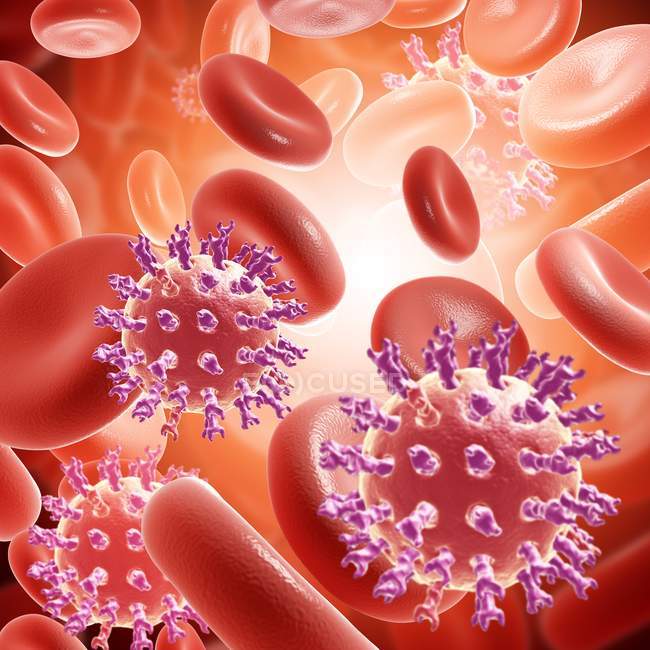 Rotavirus virus particles in the bloodstream — Stock Photo