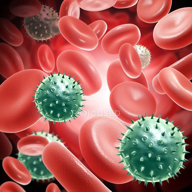Partículas del virus del rotavirus en el torrente sanguíneo - foto de stock
