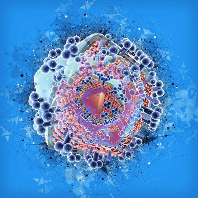 Вирус ВИЧ, иллюстрация — стоковое фото