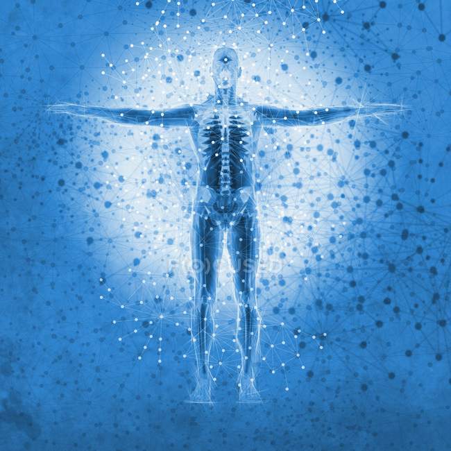 Atomic structure of the human body — Stock Photo